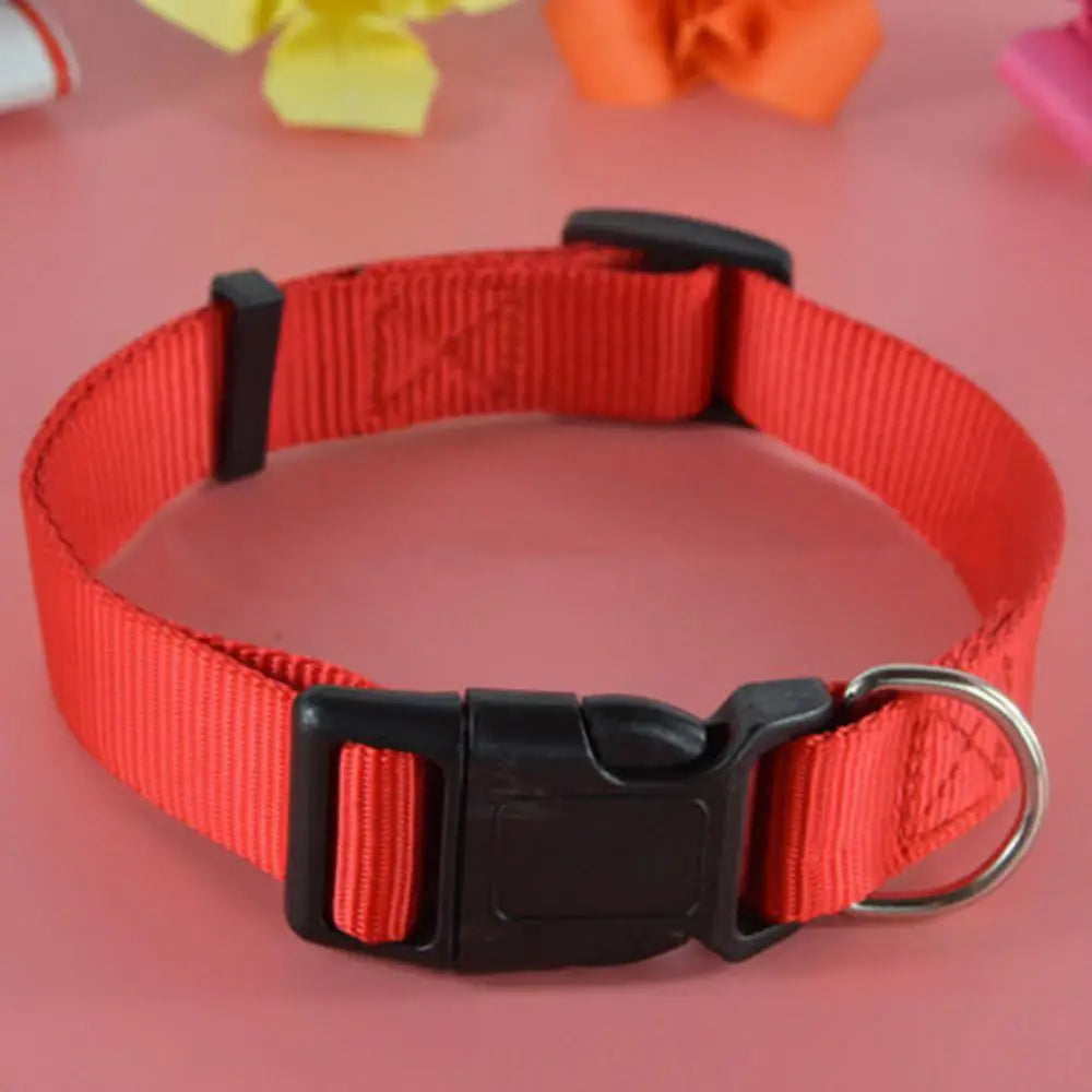 Collar de seguridad ajustable de nailon para perros, cachorros y gatos con hebilla de liberación rápida. Suministros para perros.