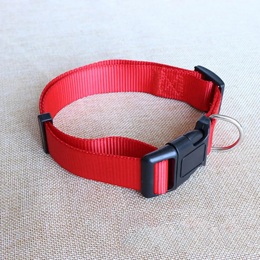 Collar de seguridad ajustable de nailon para perros, cachorros y gatos con hebilla de liberación rápida. Suministros para perros.
